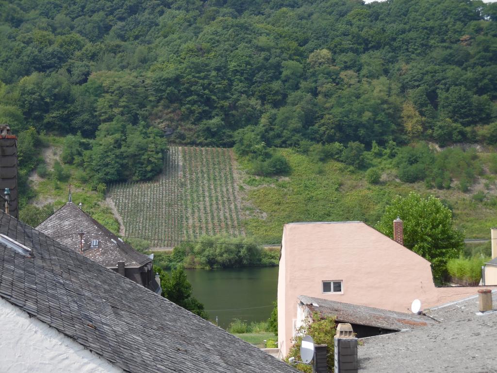 Ferienwohnung In Vino Veritas 노이마겐드론 외부 사진